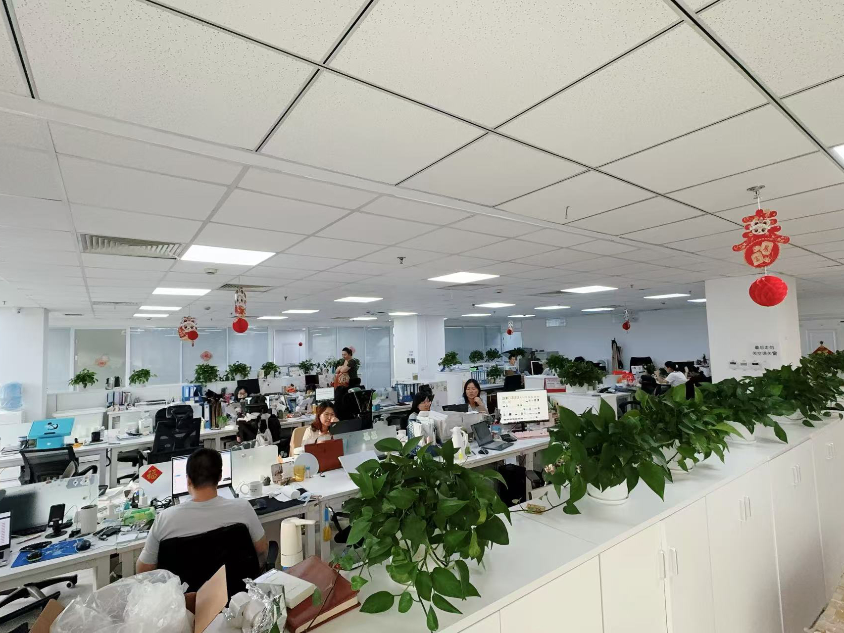 Trung Quốc Hong Kong Starsurge Group Co., Limited hồ sơ công ty