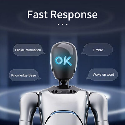 AgiBot G2 Robot vận hành tương tác mang hình thể công nghiệp